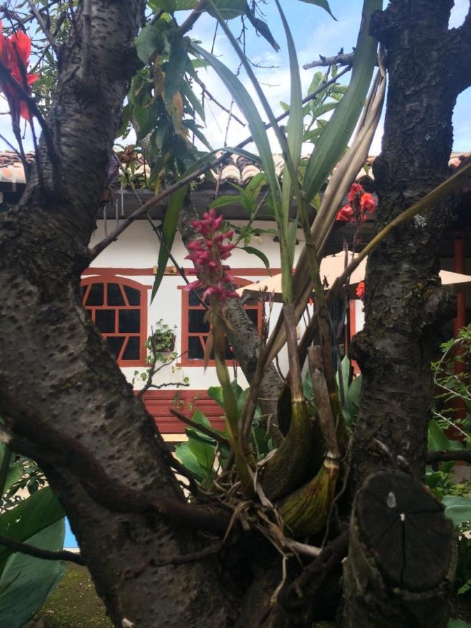 A Pousada La Chulada San Cristóbal de Las Casas Quarto foto